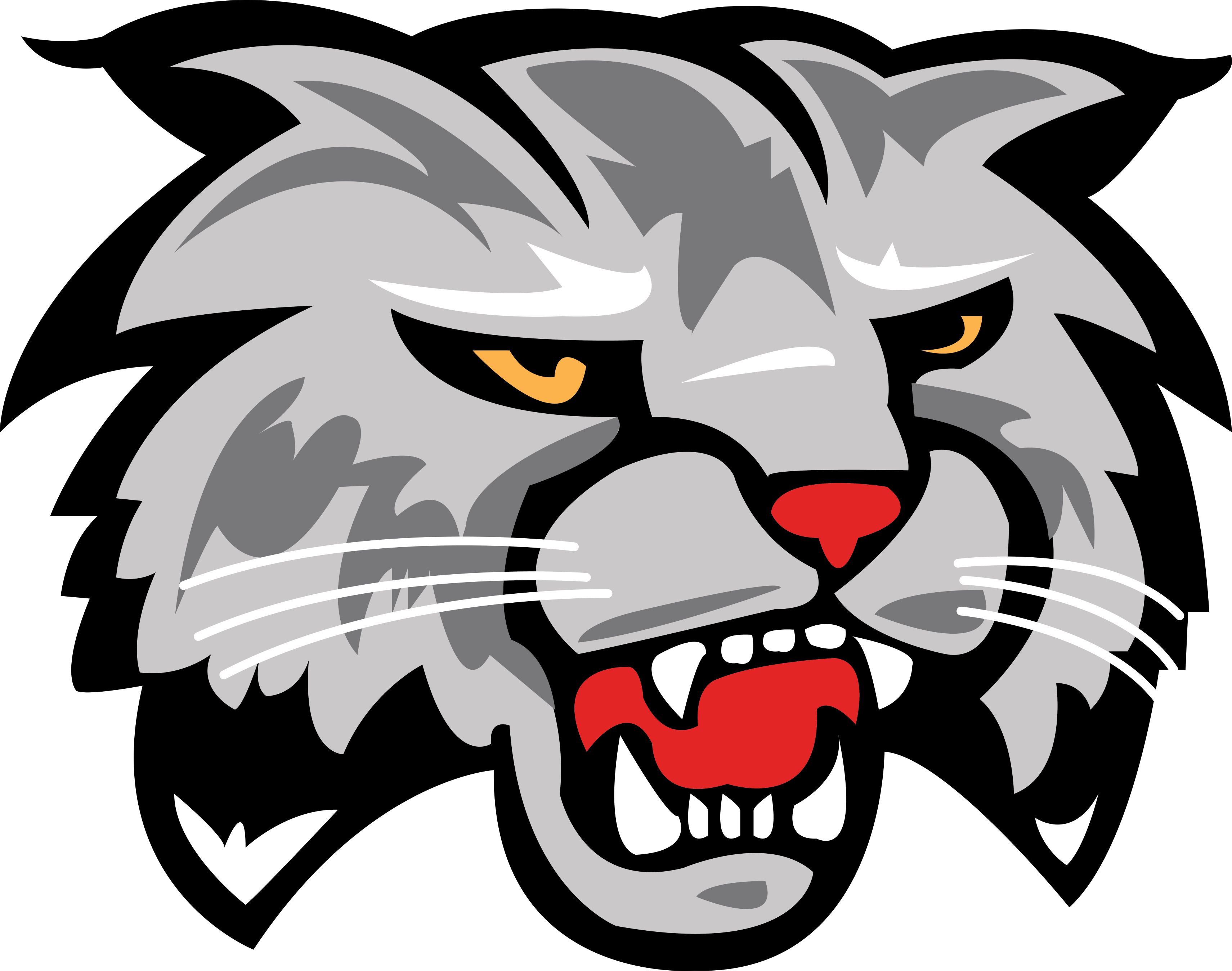 Green Bay West High School Wildcat Mascot Logo